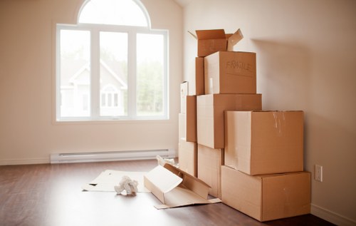 Professional Man With Van Plumstead moving boxes and items