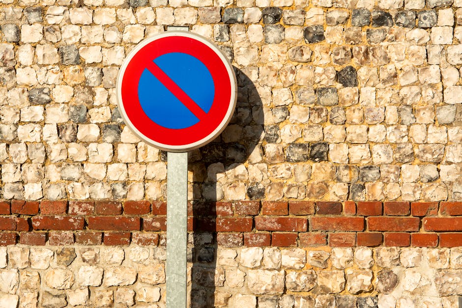 A circular parking restriction sign with a red border, blue background, and a red diagonal line across the center is mounted on a metal pole, standing in front of a textured stone wall made of irregul